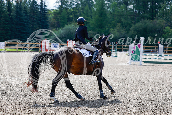 2025 - Haylee - Picco Horse Show - Sunday July 27th 02410