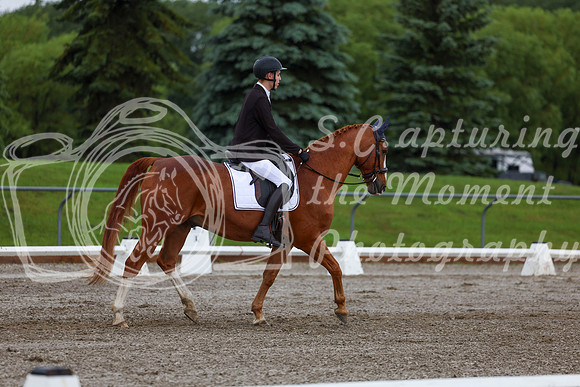 2025 - Dressage Festival - Sunday July 6th - 01356