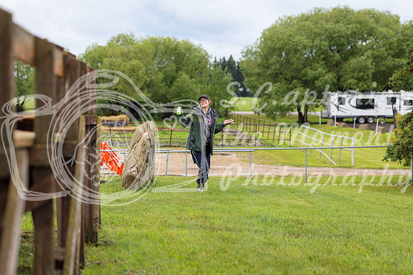 2025 - Dressage Festival - Sunday July 6th - 09543
