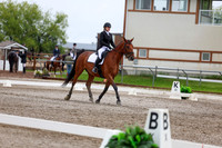2025 - Dressage Festival - Sunday July 6th - 04998