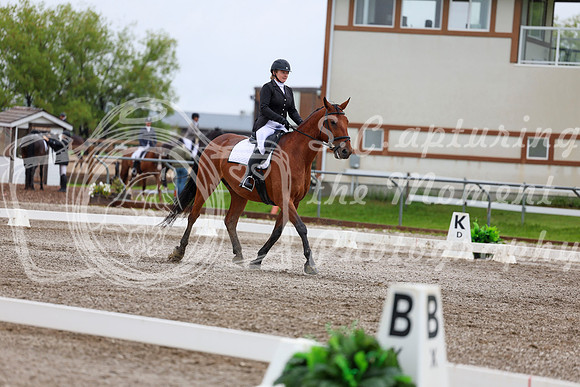 2025 - Dressage Festival - Sunday July 6th - 04998