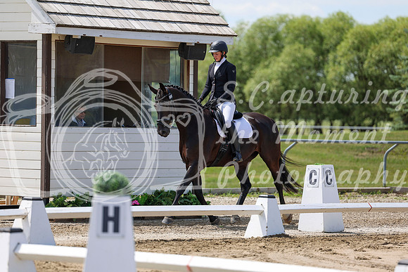 2025 - Dressage Festival - Saturday July 5th - 06957