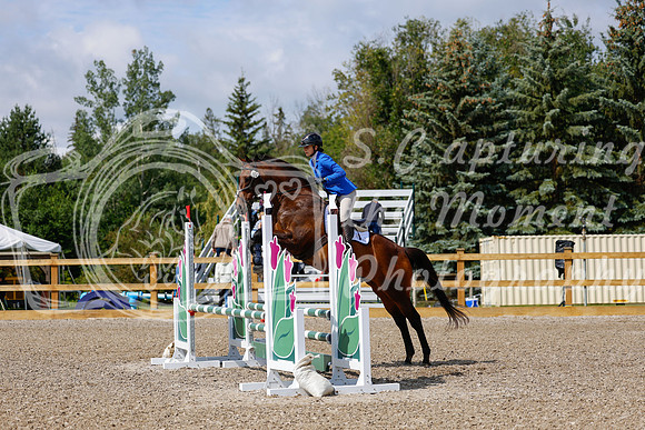 2025 - Haylee - Picco Horse Show - Sunday July 27th 02437