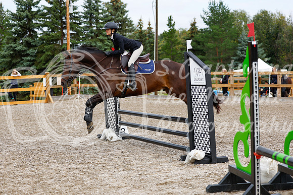 2025 - Haylee - Picco Horse Show - Saturday July 26th 01969