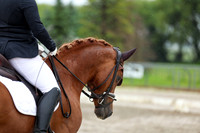 2025 - Dressage Festival - Sunday July 6th - 09008