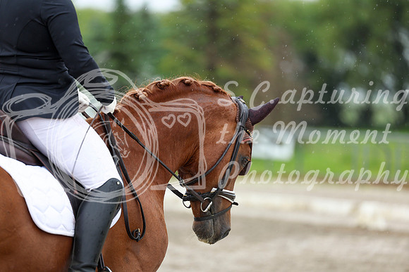 2025 - Dressage Festival - Sunday July 6th - 09008