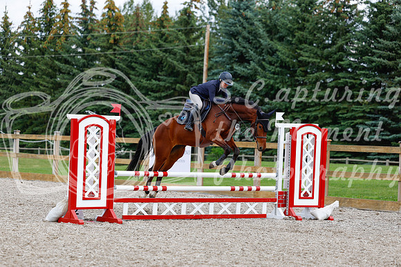 2025 - Haylee - Picco Horse Show - Saturday July 26th 06493