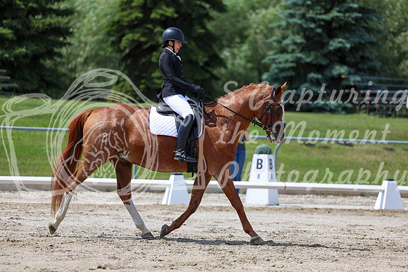 2025 - Dressage Festival - Saturday July 5th - 10101