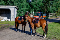 2025 - Haylee - Picco Horse Show - Thursday July 24th 00009