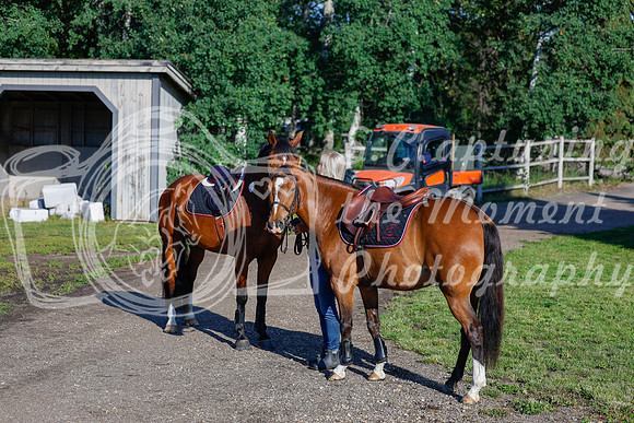 2025 - Haylee - Picco Horse Show - Thursday July 24th 00009