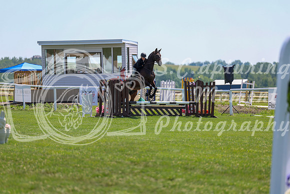 2025 - Shea - Teesdale - Thursday July 24th - 01013