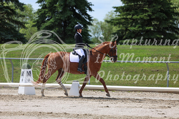 2025 - Dressage Festival - Saturday July 5th - 10167