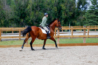2025 - Haylee - Picco Horse Show - Saturday July 26th 08280