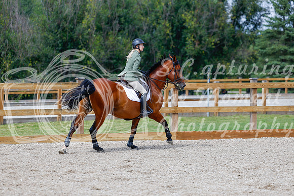 2025 - Haylee - Picco Horse Show - Saturday July 26th 08280