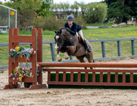 Pony