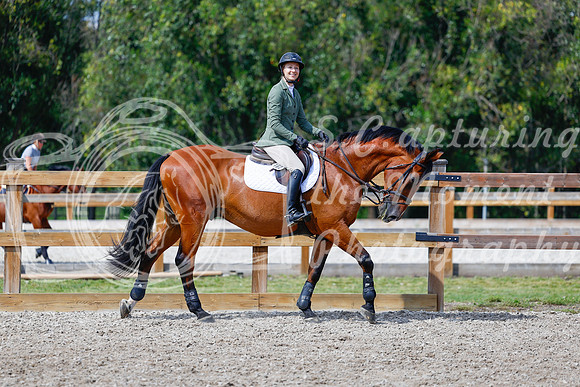 2025 - Haylee - Picco Horse Show - Saturday July 26th 07740