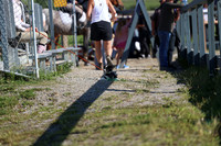 2025 - Mara - Rocky Mountain Classic I - Sunday August 10th - 07335