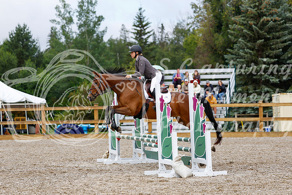 2025 - Haylee - Picco Horse Show - Sunday July 27th 01835