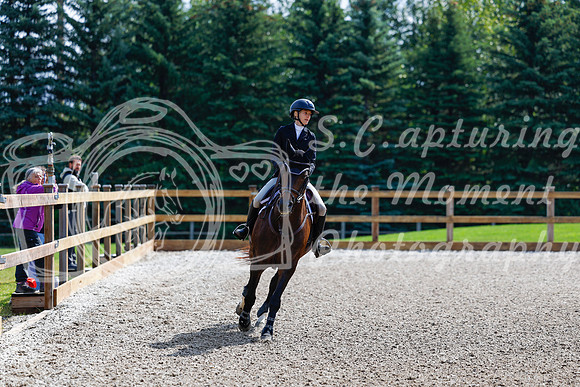2025 - Haylee - Picco Horse Show - Sunday July 27th 02408