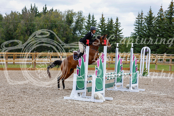 2025 - Haylee - Picco Horse Show - Saturday July 26th 04413