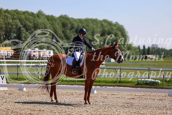 2025 - Dressage Festival - Saturday July 5th - 04774