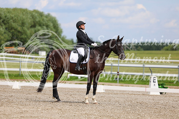 2025 - Dressage Festival - Saturday July 5th - 11416