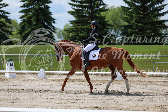 2025 - Dressage Festival - Saturday July 5th - 10091