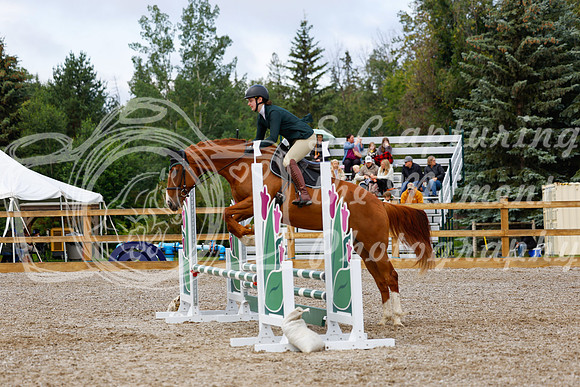 2025 - Haylee - Picco Horse Show - Sunday July 27th 02236