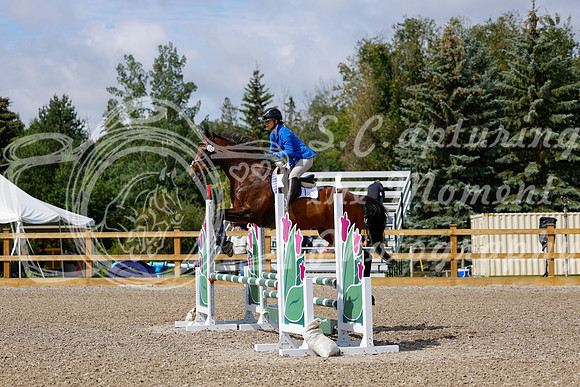 2025 - Haylee - Picco Horse Show - Sunday July 27th 02442