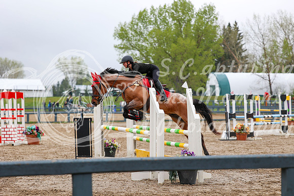 2025 - Mara - Bow Valley II - Sunday May 18th - 12571