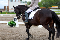 2025 - Dressage Festival - Sunday July 6th - 10385
