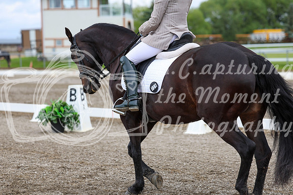 2025 - Dressage Festival - Sunday July 6th - 10385