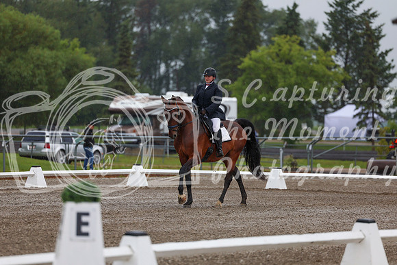 2025 - Dressage Festival - Sunday July 6th - 00344