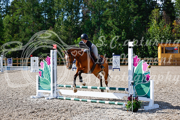 2025 - Haylee - Picco Horse Show - Thursday July 24th 00914