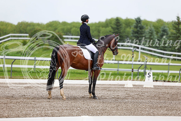 2025 - Dressage Festival - Sunday July 6th - 04272