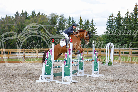 2025 - Haylee - Picco Horse Show - Saturday July 26th 07279