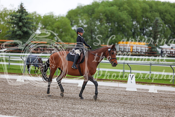 2025 - Dressage Festival - Sunday July 6th - 01816
