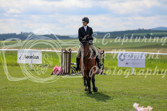 2025 - Shea - Teesdale - Friday July 25th - 05493