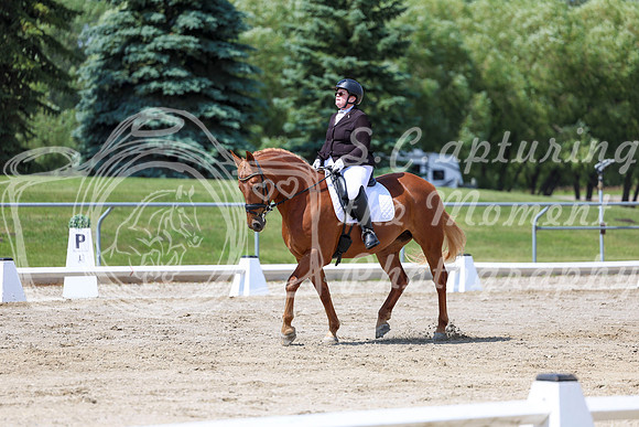 2025 - Dressage Festival - Saturday July 5th - 09321