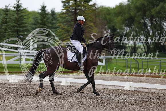 2025 - Dressage Festival - Sunday July 6th - 01264