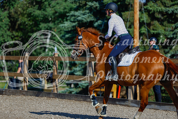 2025 - Haylee - Picco Horse Show - Thursday July 24th 00394