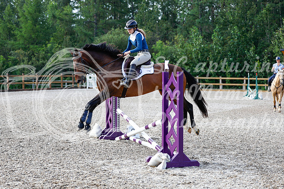2025 - Haylee - Picco Horse Show - Saturday July 26th 00186
