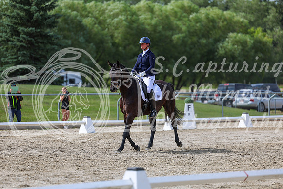 2025 - Dressage Festival - Saturday July 5th - 14787