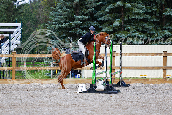 2025 - Haylee - Picco Horse Show - Sunday July 27th 02176