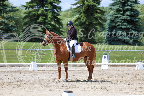 2025 - Dressage Festival - Saturday July 5th - 09331