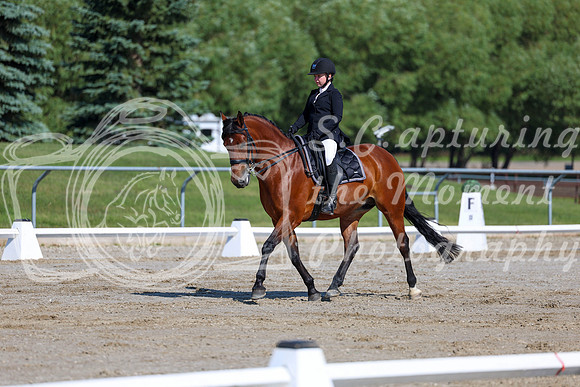 2025 - Dressage Festival - Saturday July 5th - 01869