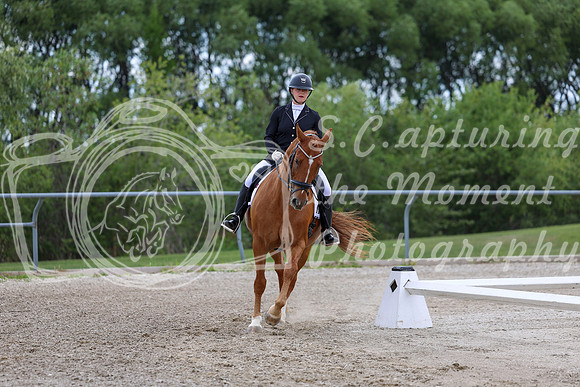2025 - Dressage Festival - Saturday July 5th - 11169