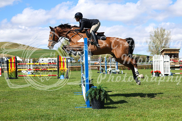 2025 - Shea - Bow Valley II - Thursday May 15th - 04799