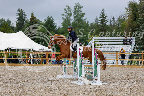 2025 - Haylee - Picco Horse Show - Sunday July 27th 01394