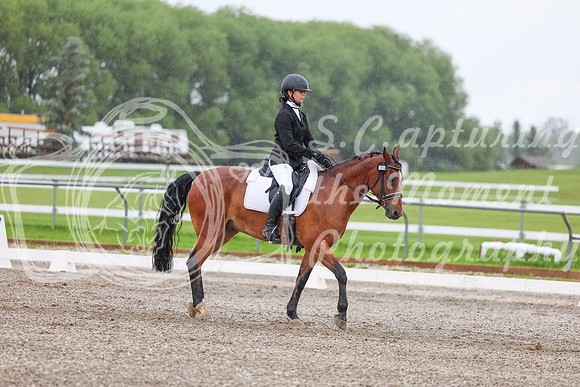 2025 - Dressage Festival - Sunday July 6th - 02850